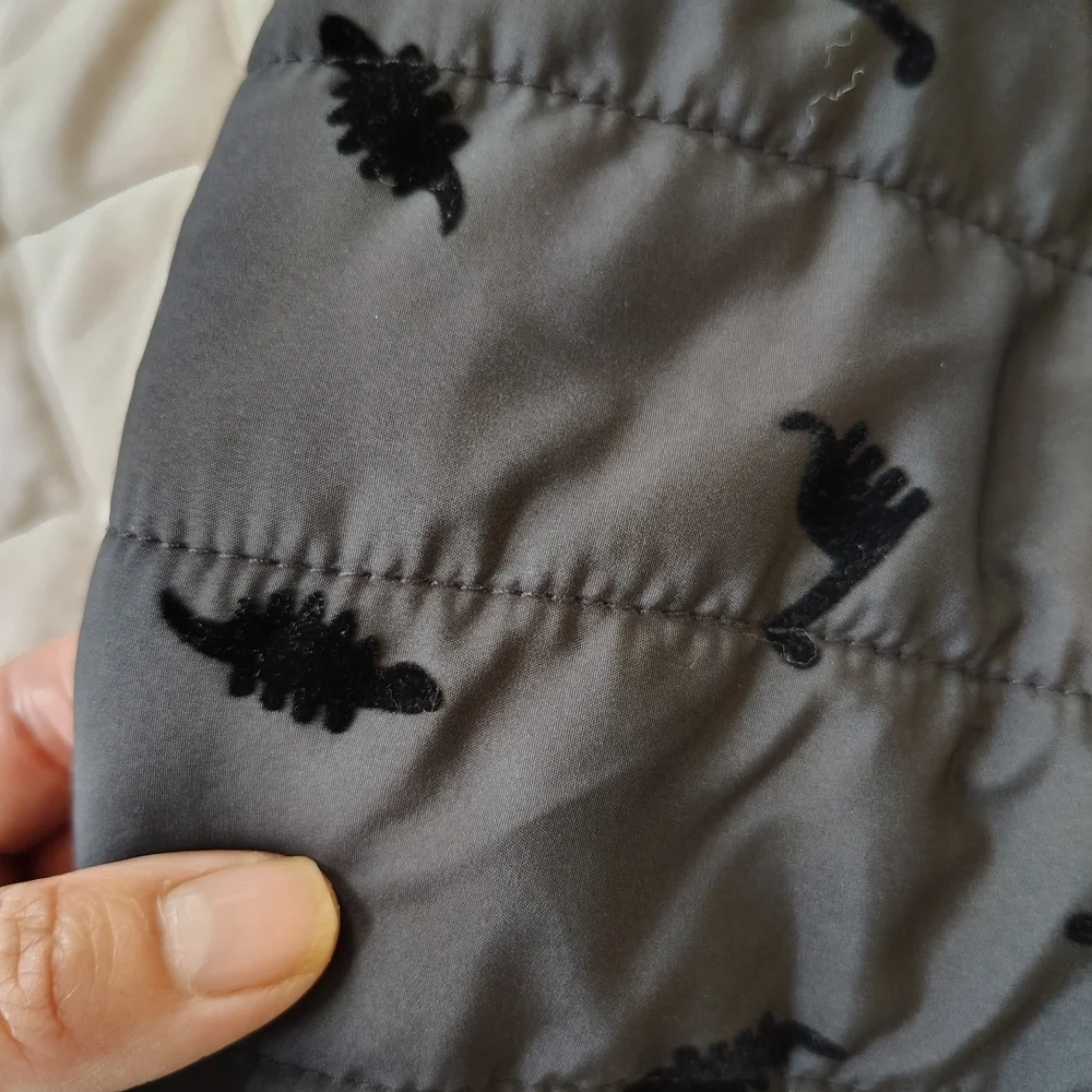 First Impressions Baby Dino Black Snowsuit